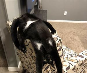 how relaxed can i get