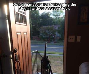 how to keep the dog in the house