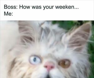 how was your weekend