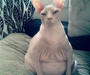 how are you feeling funny picture