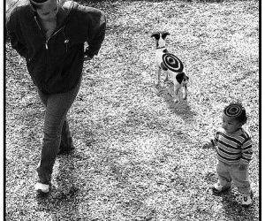 How Birds See the World