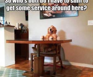 how do i get service funny picture