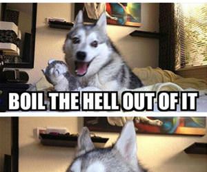 how do you make holy water funny picture