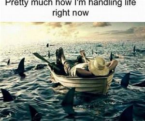 how i am handling my life funny picture