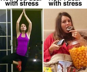 how i deal with stress funny picture