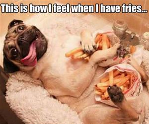 how i feel when i have fries funny picture