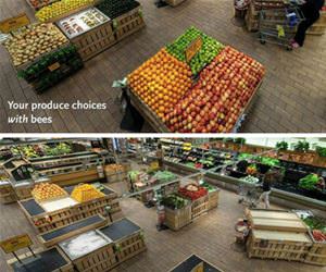 how important are bees funny picture