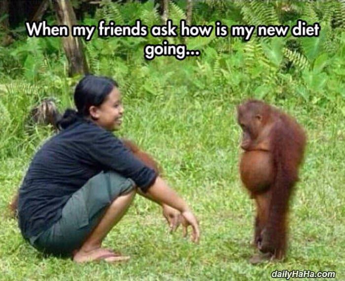 how is the new diet going funny picture