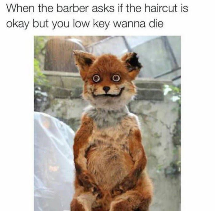 how is your haircut funny picture