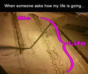 how is your life going funny picture