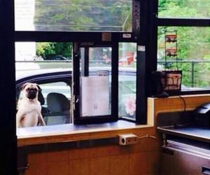 how long can it possibly take funny picture