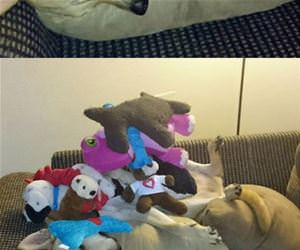 how many toys can i stack funny picture