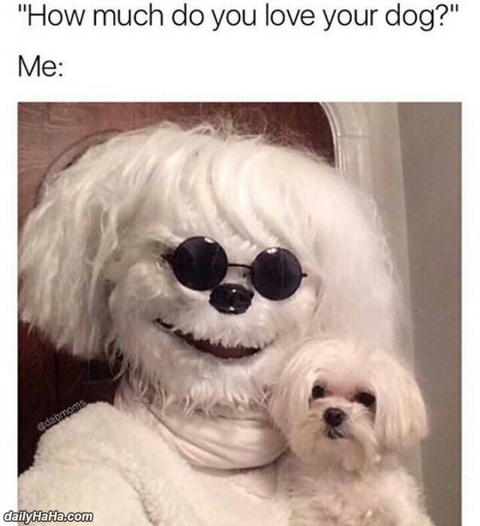 how much do you love your dog funny picture