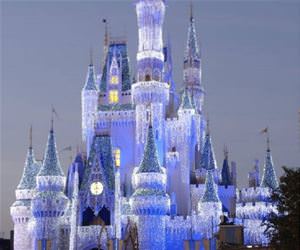 how much you swear funny picture