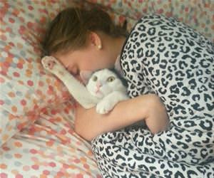 how our cat wakes us up funny picture