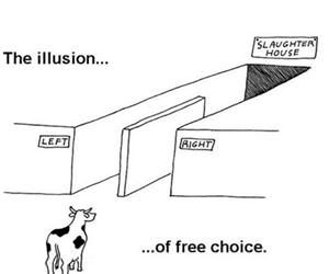 how politics works lately funny picture