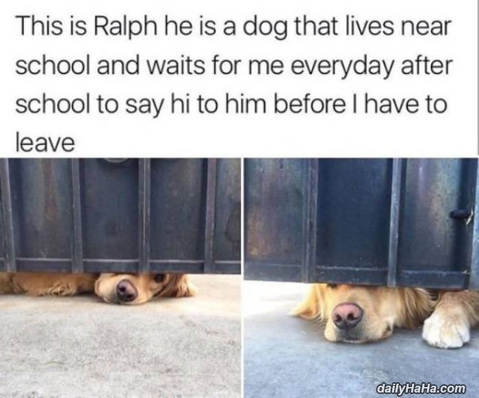 how ralph waits for me funny picture