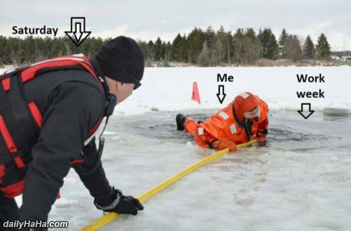 how the work week goes funny picture