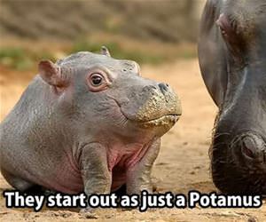 how they start out funny picture