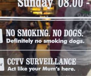 how to behave here funny picture