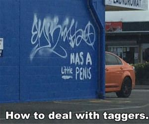 how to deal with taggers funny picture