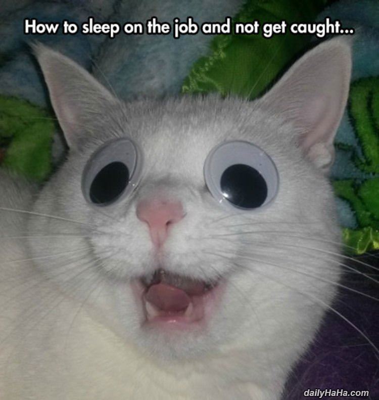 how to sleep on the job funny picture