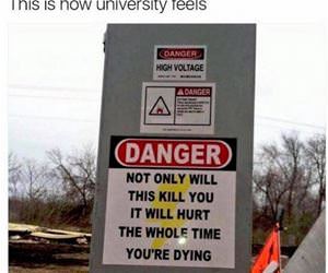 how university feels funny picture
