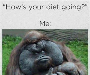 hows your diet going ... 2