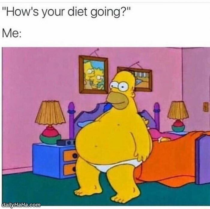 hows the diet going funny picture