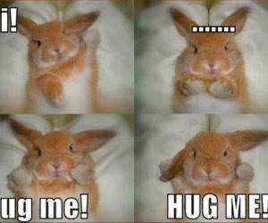 HUGS NOW funny picture