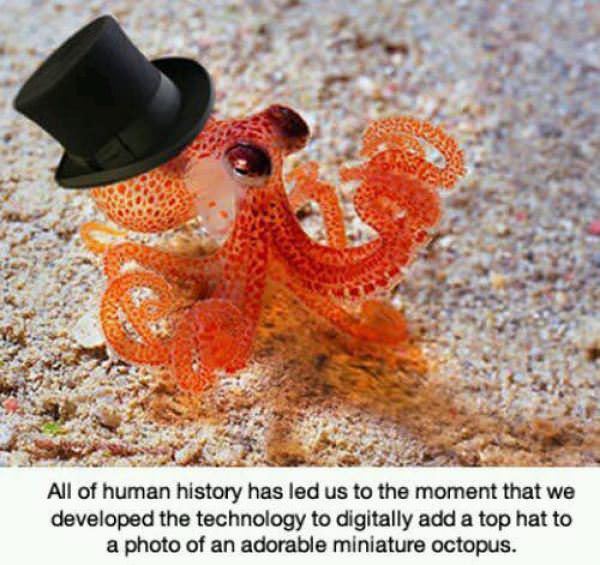 human history funny picture