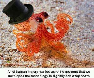 human history funny picture