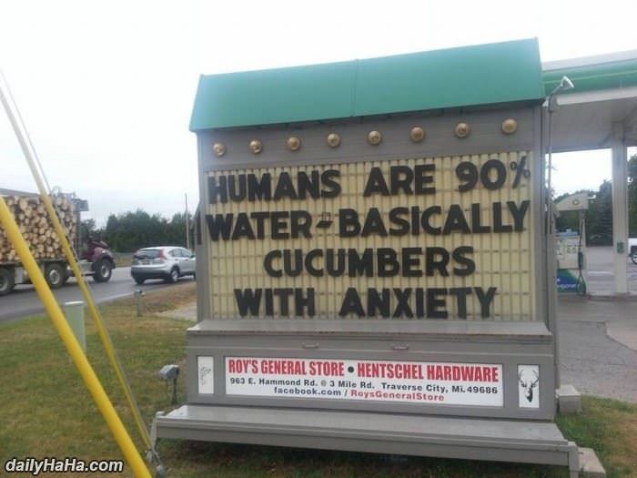 humans are cucumbers funny picture