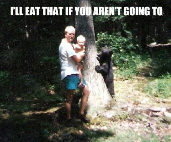 Hungry Bear funny picture