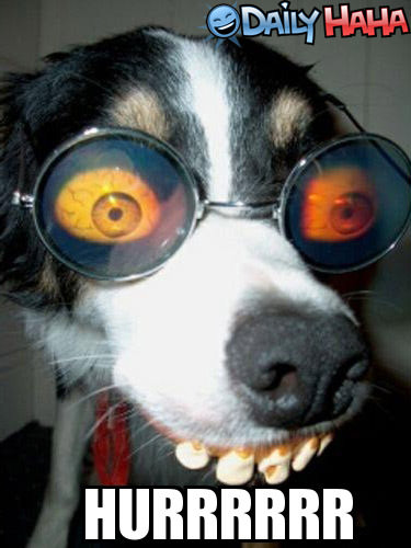 Hurrrrrr Funny picture