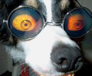 Hurrrrrr Funny picture