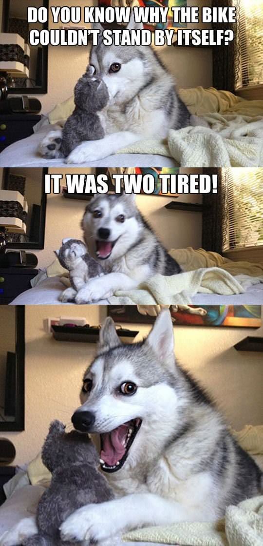 husky bike joke funny picture