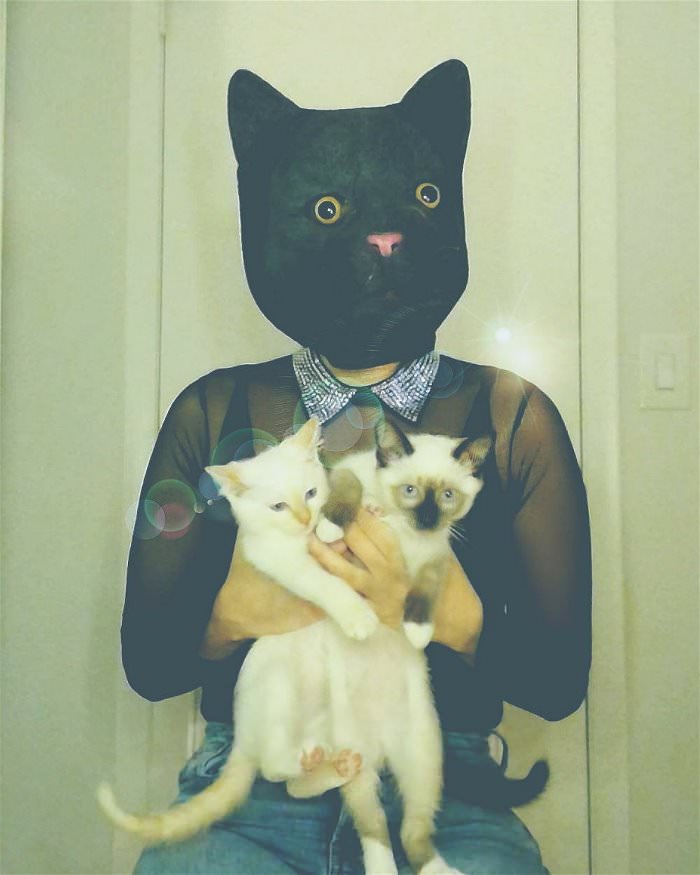 i am cat man