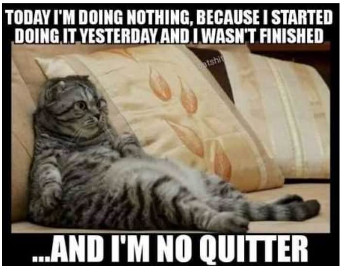 i am no quitter