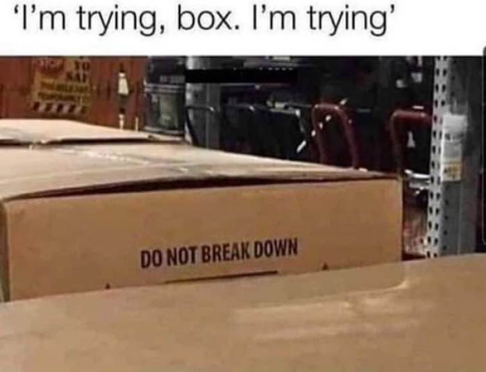 i am trying box