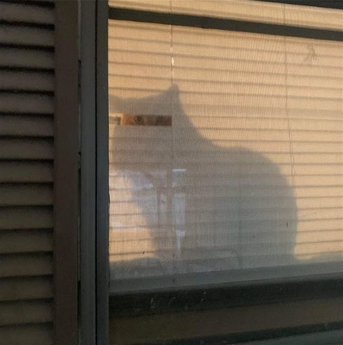 i am watching you all