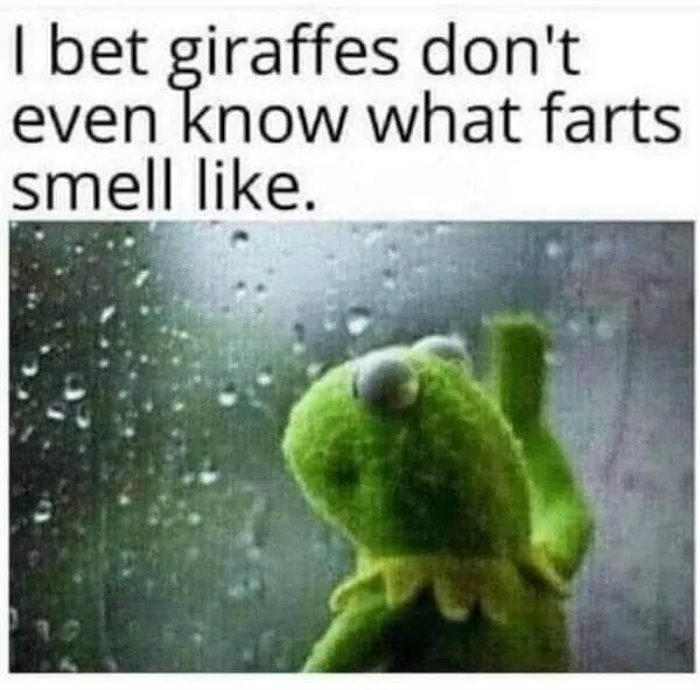 i bet ... 2