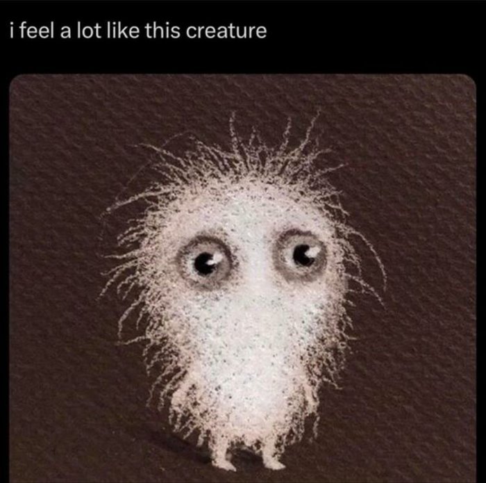 i feel a lot like it