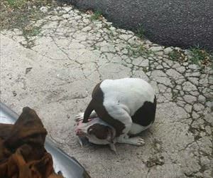 i finally caught this sucker