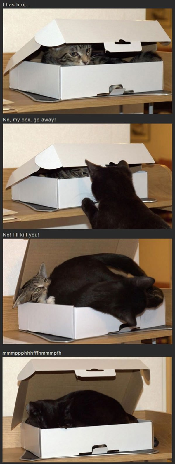 Has A Box funny picture