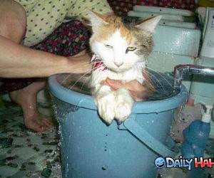 I Hate You People funny picture