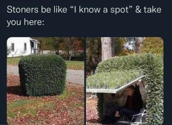 i know a spot