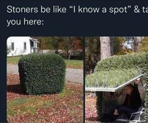 i know a spot