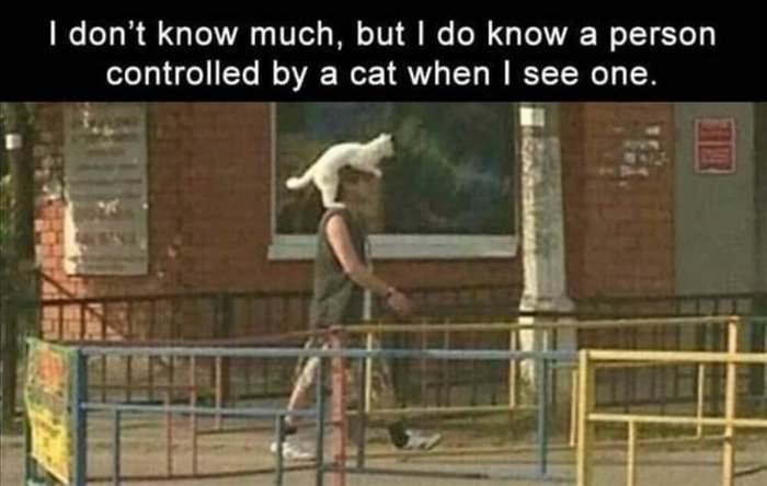 i know when i see it