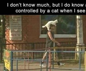 i know when i see it